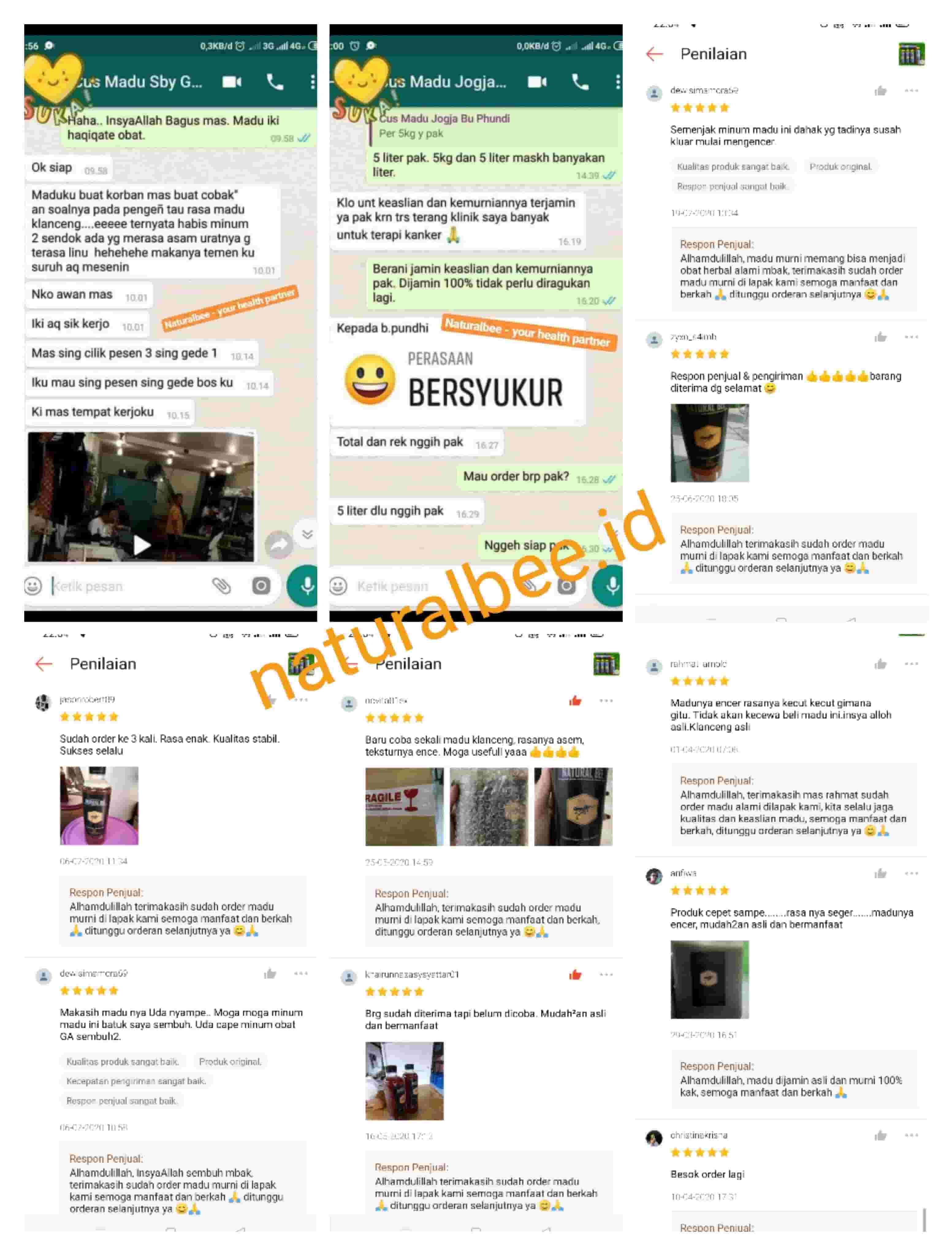 testimoni-natural-bee